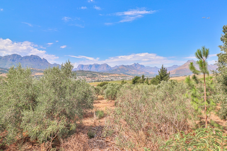 10 Bedroom Property for Sale in Stellenbosch Farms Western Cape
